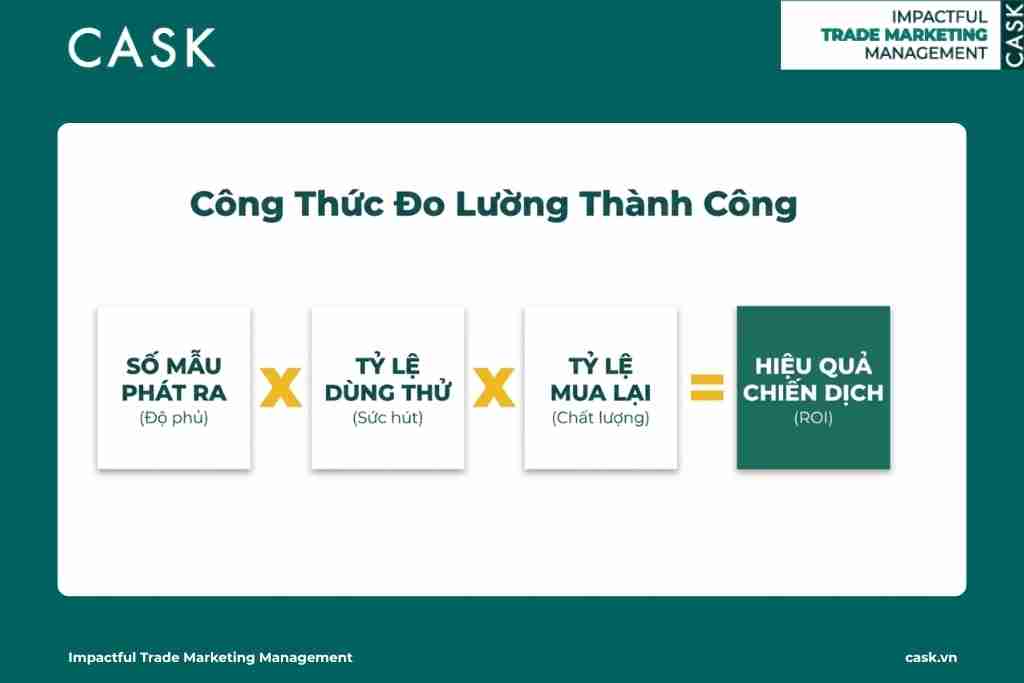Quy trình 6 bước triển khai Sampling từ khâu lập mục tiêu đến đo lường và tối ưu hóa