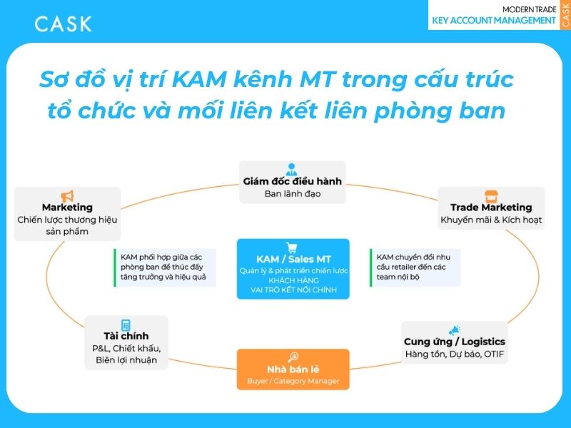 Sơ đồ vị trí KAM kênh MT trong cấu trúc tổ chức và mối liên kết liên phòng ban