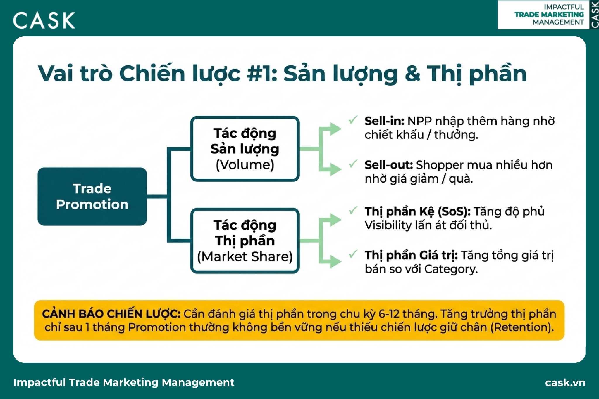 trade promotion tác động lên sản lượng và thị phần qua sell-in và sell-out