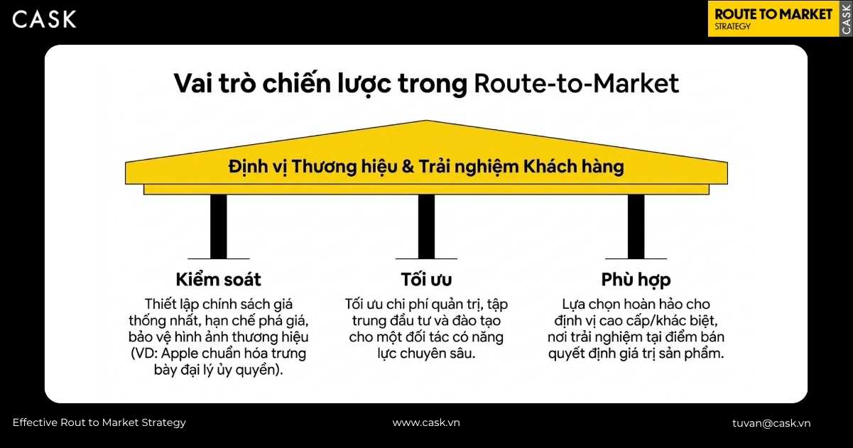 vai trò chiến lược của phân phối độc quyền trong định vị thương hiệu RTM