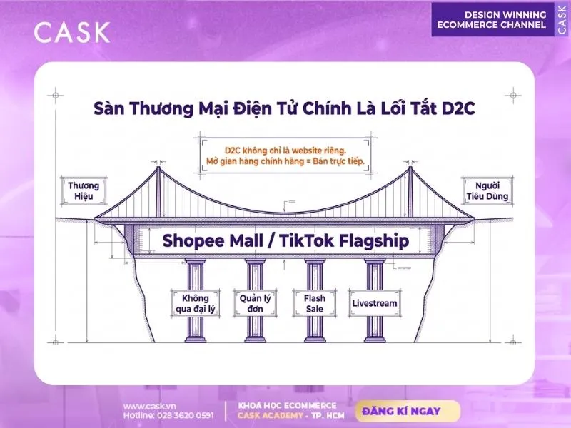 xây dựng d2c trên sàn thương mại điện tử