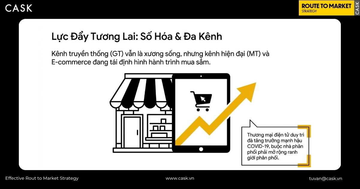 Hình minh hoạ xu hướng số hoá và đa kênh cho nhà phân phối FMCG với cửa hàng truyền thống GT cùng kênh hiện đại MT và thương mại điện tử tăng trưởng