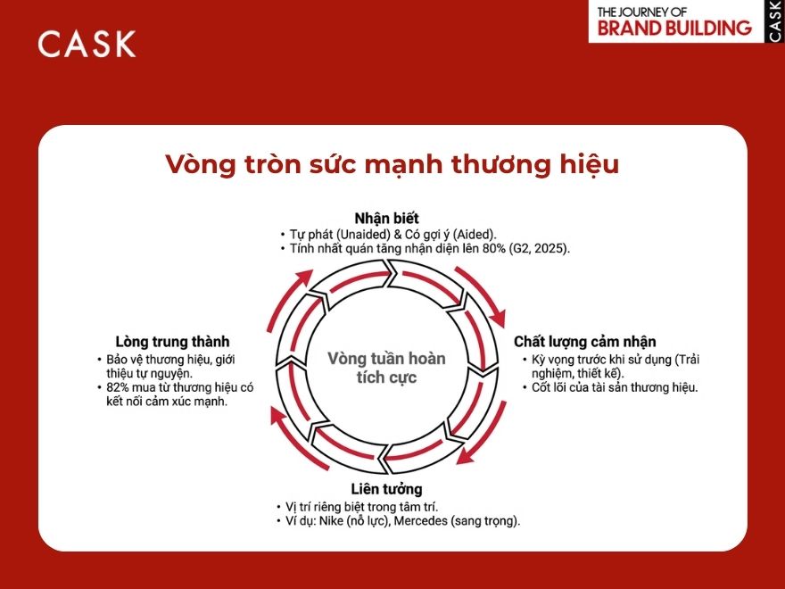 Vòng tròn sức mạnh thương hiệu - các yếu tố tạo nên Brand Power