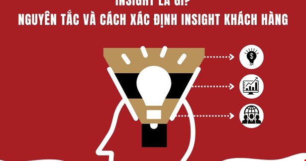 Insight là gì? Nguyên tắc và cách xác định Insight khách hàng
