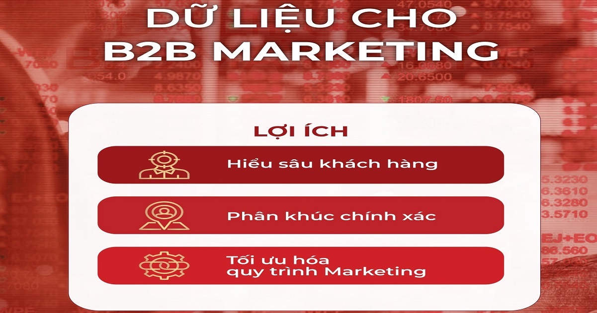 Dữ liệu "bắt buộc" phải có để Marketing hiệu quả cho kênh B2B