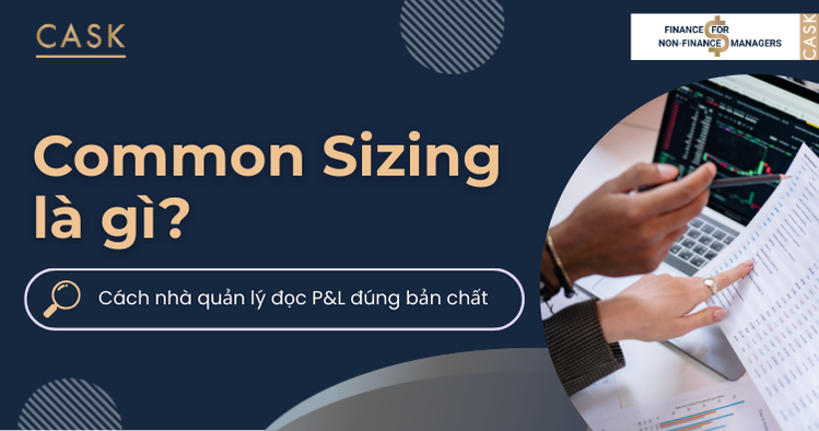 Common Sizing là gì? Cách nhà quản lý đọc P&L đúng bản chất