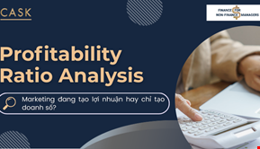 Profitability Ratio Analysis: Marketing đang tạo lợi nhuận hay chỉ tạo doanh số?