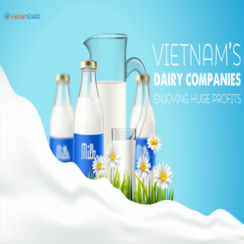 DAIRY BUSINESS