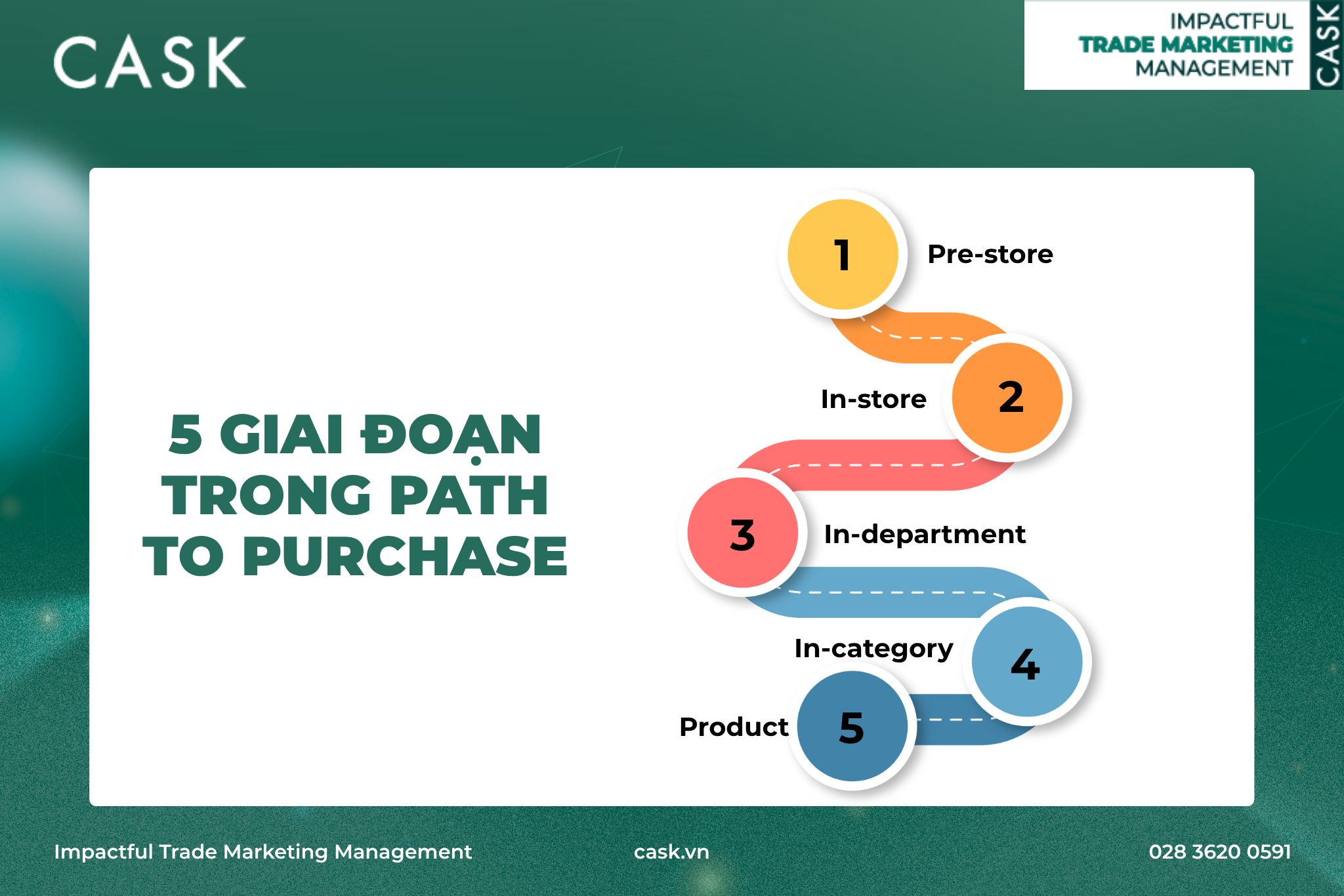 5-giai-doan
