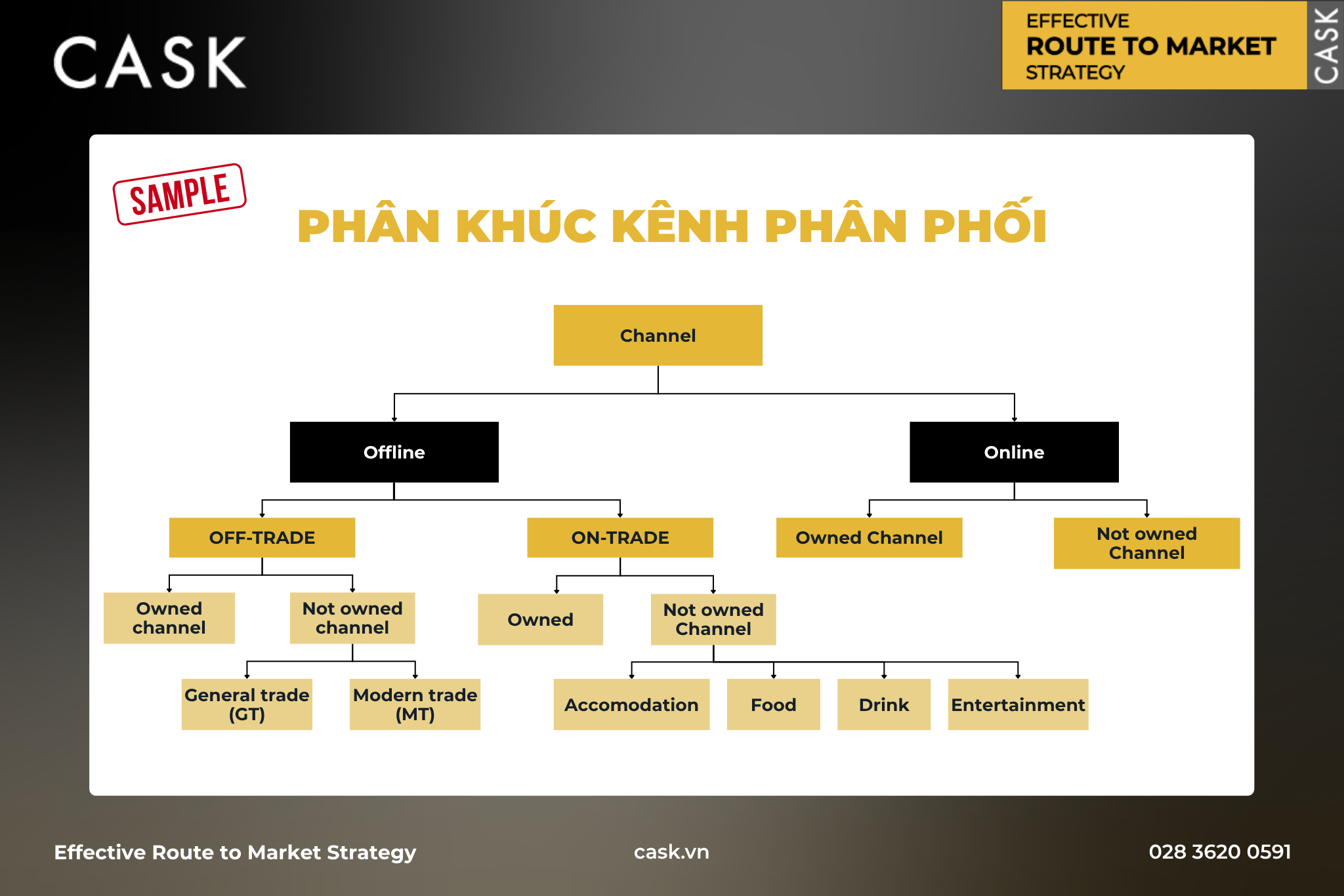 vi-du-ve-phan-khuc-kenh-phan-phoi